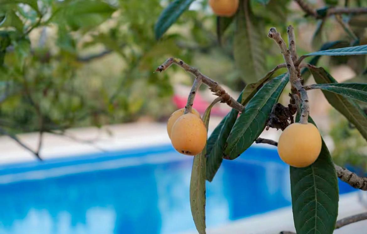 Villa Rosa Ibiza, Private Pool, 10 Minutes From The Santa Gertrudis (Ibiza)